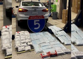 ‘5번 Fwy는 마약 프리웨이’ … 엄청난 규모 멕시코 마약 유입 통로