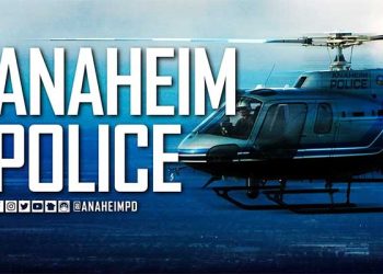 산책 갔다 실종된 여성, 음주 뺑소니차에 숨져