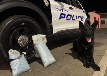 바스토우 경찰견, 차량수색 중 다량 펜타닐 적발