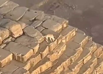 피라밋 꼭대기에 개 한 마리 … 도대체 어떻게 올라갔나?