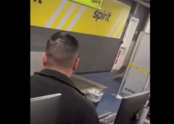 뉴욕 공항에 너구리 난입, 승객들 혼비백산(영상)