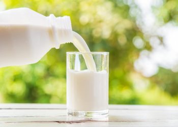 “우유 300㎖ 이상 마시면 여성 건강 위험”