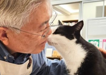 이재명 위기 와중에…문재인은  ‘고양이 뽀뽀 사진’