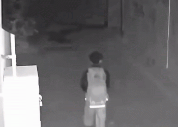 “알람 잘못 맞춰서”…밤 12시 혼자 등교한 초등생(영상)