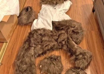 롤스로이스 차주 “곰이 박살”…알고보니 곰 탈 쓴 인간(영상)