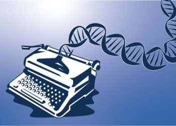 세포 1개가 3조개 인간 되는 신비 밝혀질까