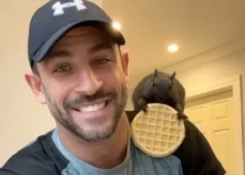 인스타 팔로워 60만 스타 다람쥐, 안락사 강행 … 이유가?