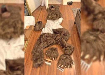 [화제] “곰에게 당했다” 보험금 청구… 알고 보니 곰 분장 사기(영상)