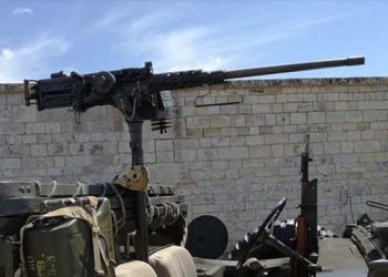 아동성학대 영상에 기관총까지 소지한 OC 남성