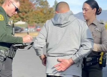 중고거래 하다 휴대폰 뺏긴 소녀, 뒤쫓다 뺑소니 당해