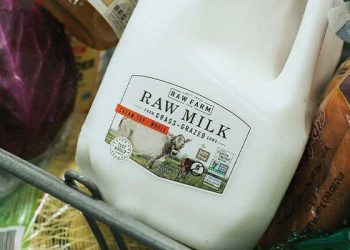 가주산 생우유 제품서 조류독감 바이러스 …”당장 버려야”