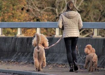“검은색 조리도구 피하세요” … 85% 발암물질
