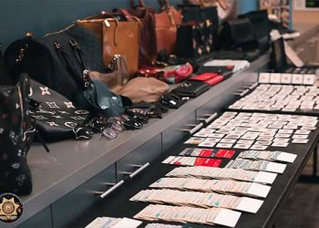 차량절도범 잡고 보니 거액 상습사기범… 일당 체포