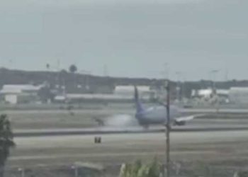 LA 공항 이륙 중 여객기, 활주로서 조류와 충돌 … ‘아찔한 사고’