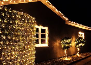 크리스마스 장식 주택서 화재 … 애완견 3마리 사망