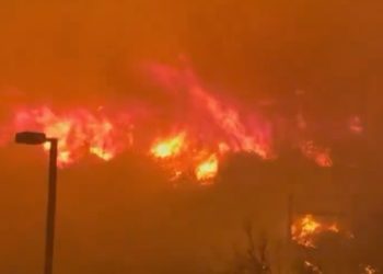 말리부 1번 Fwy 따라 불길 확산.. 유명인사들 대거 피난