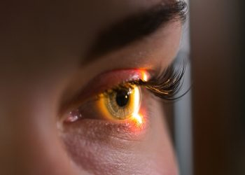 시력상실 치료 가능해질까 … 실명회복 연구 ‘통 큰’ 투자