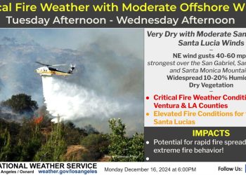 산불∙폭풍우∙토네이도까지 극단적 날씨 연속, 초겨울부터 비상