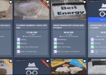 다크웹서 팬타닐 등 1억달러 판매수익 …20대 대만 남성 미국서 체포