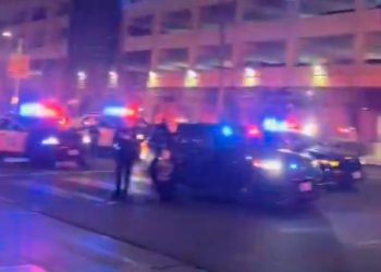 순찰차 수십여대 선셋길서 “어린이 환자들에 성탄 위로”행사(영상)