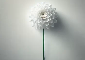 [부고] 로라 전 전 LA 한인회장 모친 전주현 여사 별세 … 향년 91세