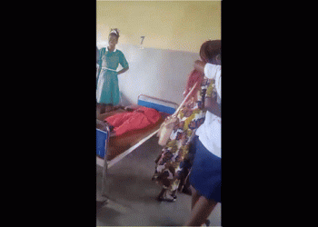 춤추는 것처럼 덜덜 … ‘딩가딩가’ 전염병 확산(영상)