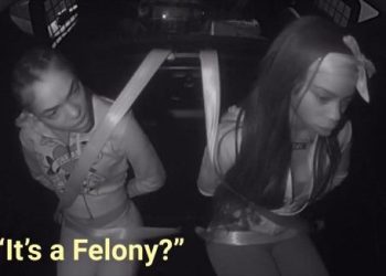 “한 번 훔친 건 괜찮다며”…순찰차서 당황한 절도범들(영상)