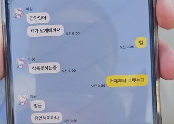 “새가 날개에 꼈다” … 사고 3분 전 승객이 보낸 안타까운 문자