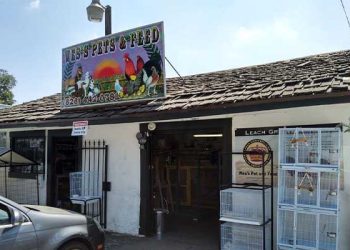 엘몬테서 픽업 트럭, 애완동물 매장으로 돌진