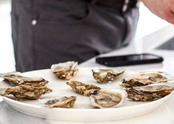 LA 타임스 주최 행사서 생굴 먹은 70여명 집단식중독