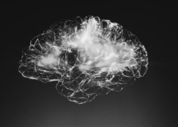 마약 중독, 초음파 뇌수술로 치료한다 …세계 최초