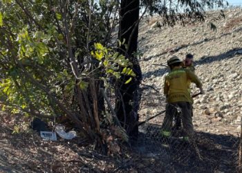 또 방화, 605번 Fwy 불 지르던 20대 남성 체포