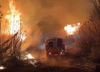 “산불 언제 잡히나” 다음 주까지 비소식 없어 … 이번 주말이 골든 타임