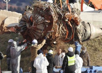양쪽 엔진서 가창오리 깃털·혈흔…’새떼 충돌’ CCTV 확인
