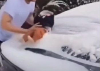 3개월 아기로 눈 치우며 ‘키득’…철부지 아빠 행동 경악