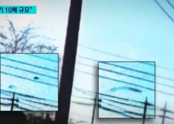 무안 제주항공 참사 당일 ‘여객기 10배 규모’ 새 떼 포착