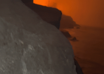 대피 거부한 할리웃 배우, 산불에 갇혀 “지옥이었다”