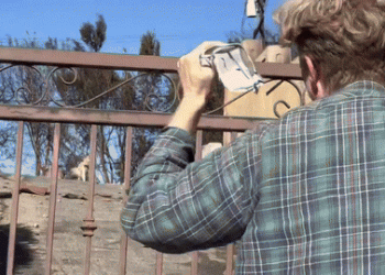 [화제] “살아있었구나” … 산불서 생존 반려견 ‘눈물의 재회'(영상)