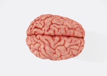 “제로 콜라·스포츠 음료, 뇌에 안 좋다”… 최악음료 3가지