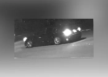 운전 중 이유 없이 총격 받아 … 묻지마 차량총격 또 다시