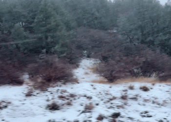 폭설로 운전자들 당황… 곳곳 체인검문소, 사이버 트럭 견인도