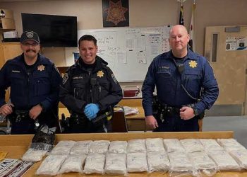 경찰에 잡힌 음주운전 차량 트렁크 열었더니 …