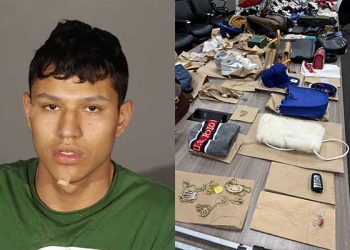 LA∙글렌데일 연쇄절도,  칠레 원정범죄단 소행 밝혀져