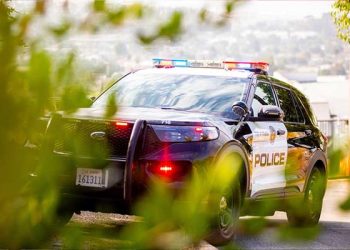 노숙 여성, 순찰 중이던 경찰차에 치여 부상