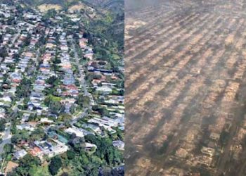 처참한 페허 변한 팰리세이즈,  산불 전후 모습