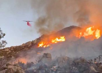인랜드 산불 참사 막았다 …기벨∙레체 산불 2건 연달아 조기진화