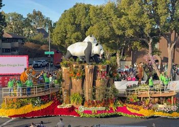 ‘1800만 송이 장미 꽃차 행렬 장관’ ….”평생 잊지 못할 추억”