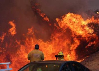 LA 20여개 업체들 대피 주민들에 식사, 차량, 숙소 무료제공