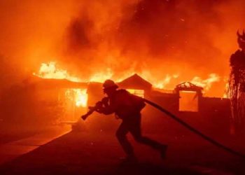 사망 24명, 실종 20명 … 9개주 소방차 1354대, 1만 4천명 진화사투