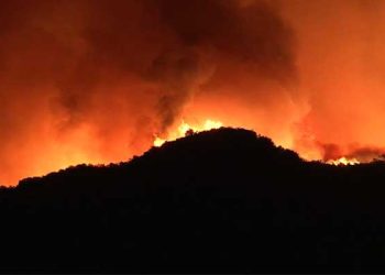 “모든 게 타버린 현실” … 보험청구, 보상절차 어떻게 되나